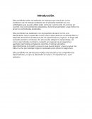 Pedagogía y didáctica de la Educación Física y Deportes