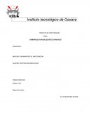 EMBARAZO EN ADOLESCENTES EN MEXICO