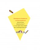 Figuras geométricas 1er grado