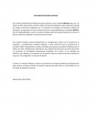 DICTAMEN DE REVISION LIMITADA