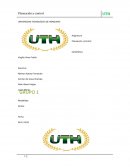 Planeación y Control Catedrática