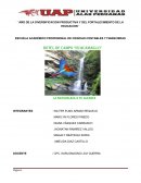 HOTEL ÑO DE LA DIVERSIFICACION PRODUCTIVA Y DEL FORTALECIMIENTO DE LA EDUCACION