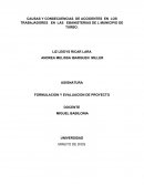 CAUSAS Y CONSECUENCIAS DE ACCIDENTES DE TRABAJADORES