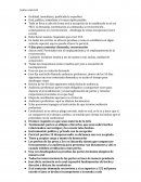 Juicio oral civil - Descripción