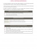 ASPECTOS QUE INCLUYEN LAS MATRICES ESTRATÉGICAS