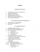 Producción de leche - Proyecto