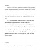 Mi alternativa - Ensayo