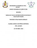 ANÁLISIS DE TAZA DE DEFORESTACIÓN DE PASTIZALES Y VEGETACION PALMAR