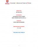 Inestigacionde violencia de pareja OSCAR GAMA GUADARRAMA.