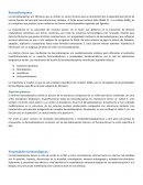 Benzodiacepinas - Monografía