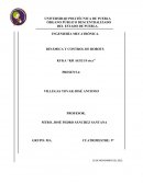 Visión general del robot industrial