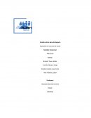 Alto Piura, idea de negocio