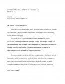 Carton colombia OBJETIVO GENERAL