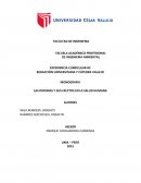 LAS DIOXINAS Y SUS EFECTOS EN LA SALUD HUMANA