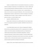 Análisis estratégico y estructura institucional de Amadeus IT Group