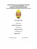 Caso Practico - Finanzas Corporativas