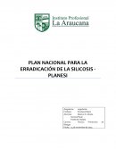 PLAN NACIONAL PARA LA ERRADICACIÓN DE LA SILICOSIS
