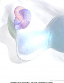 MENCION EN GESTION PÚBLICA Y DESARROLLO REGIONAL