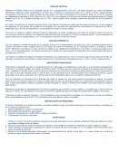 Análisis Vertical de la Compañía Sección S.A.