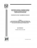 Las Asociaciones Civiles Juveniles como Espacio de Desarrollo de Cultura Política y Participación Democrática como punto de referencia para el cambio social.