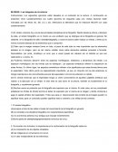 Las imágenes de mi entorno