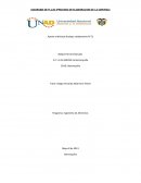 PORTE INDIVIDUAL - DIAGRAMA DE FLUJO COLABORATIVO