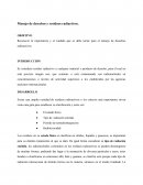 Ensayo - desechos Radioactivos