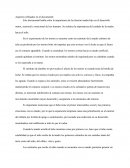 Análisis del documental Arrullo materno