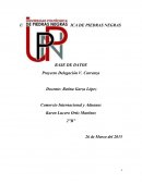 Comercio Internacional y Aduanas