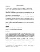 Un bucle o ciclo, en programación