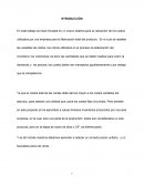 Costos volumen y producción utilizados por una empresa para la fabricación total del producto