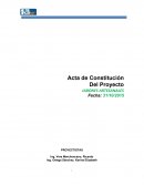 Acta de constitución del proyecto - Informe