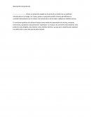 Descripción del producto. Valor del producto