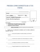 PRUEBA COMO DOMESTICAR A TUS PAPAS