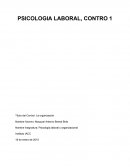 PSICOLOGIA LABORAL Título del Control: La organización