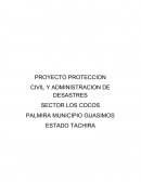 PROYECTO PROTECCION CIVIL Y ADMINISTRACION DE DESASTRES