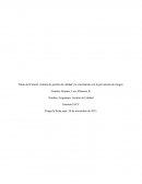 Sistema de gestión de calidad y la vinculación con la prevención de riesgos