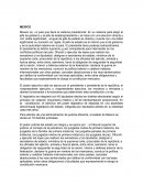 Mexico es un pais que tiene el sistema presidencial