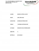 SISTEMAS DE PRODUCCIÓN, PREGUNTAS DE AUTORREFLEXIÓN