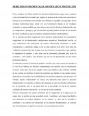 DERECHOS FUNDAMENTALES: SIGNIFICADO Y PROTECCIÓN