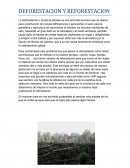 Deforestación y reforestación, ensayo