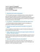 INVESTIGACION DE CAMPO. El desempleo