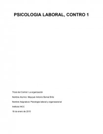 PSICOLOGIA LABORAL Título del Control: La organización. Página 1