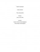 Ejemplo de presupuestos, Gestión empresarial