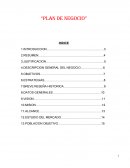 PROYECTO PLAN DE NEGOCIO