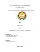 ESTRATEGIA DE COMUNICACIÓN Y PROMOCION