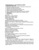 UNIDAD DIDÁCTICA: LOS COLORES DEL CAMPO