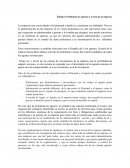 Ensayo: Problemas de Agencia y Teoría de la empresa