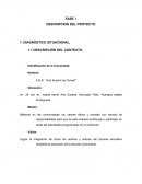 FASE I DESCRIPCION DEL PROYECTO