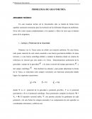 PROBLEMAS DE GRAVIMETRÍA